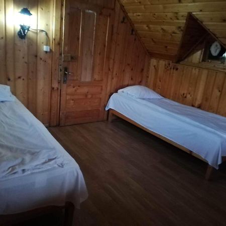 Barbuletu Casa Radu Lui Anghelヴィラ エクステリア 写真