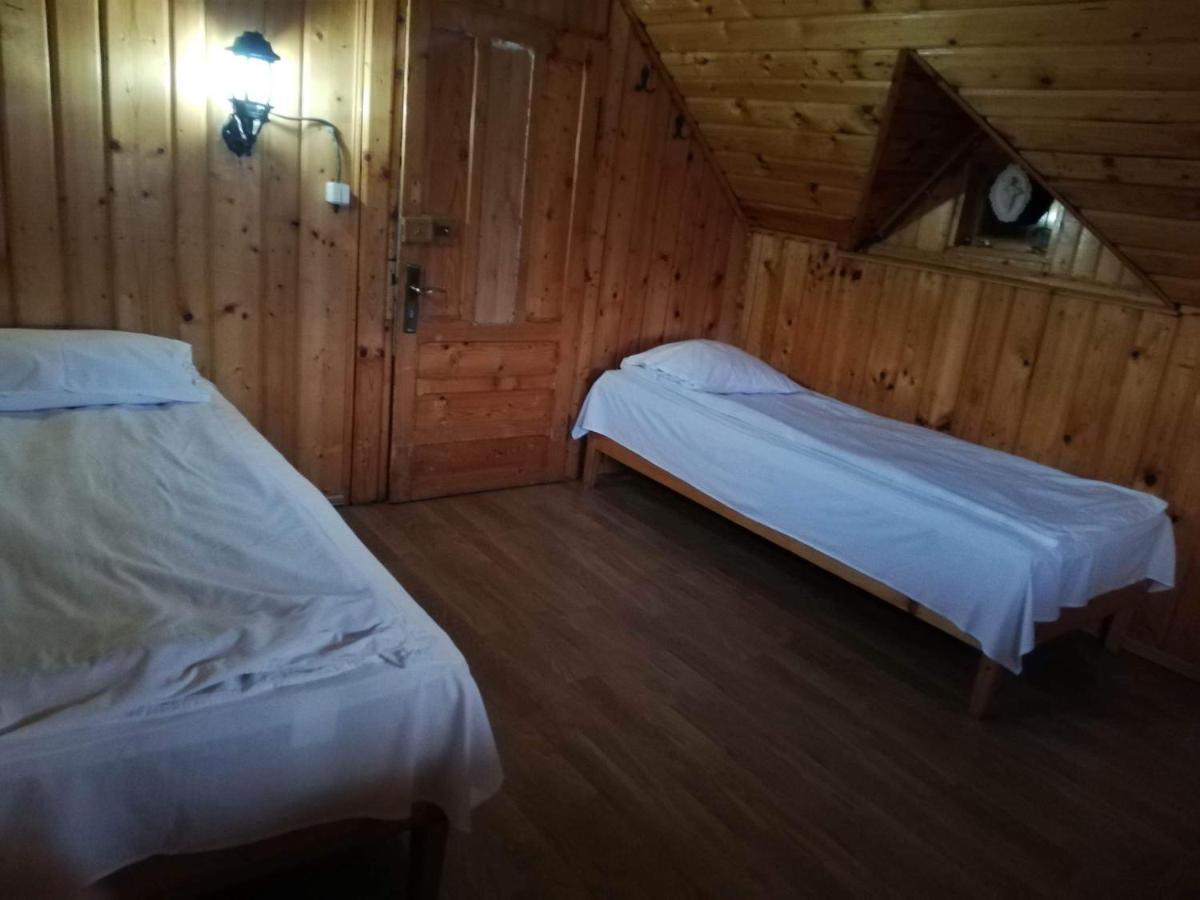 Barbuletu Casa Radu Lui Anghelヴィラ エクステリア 写真