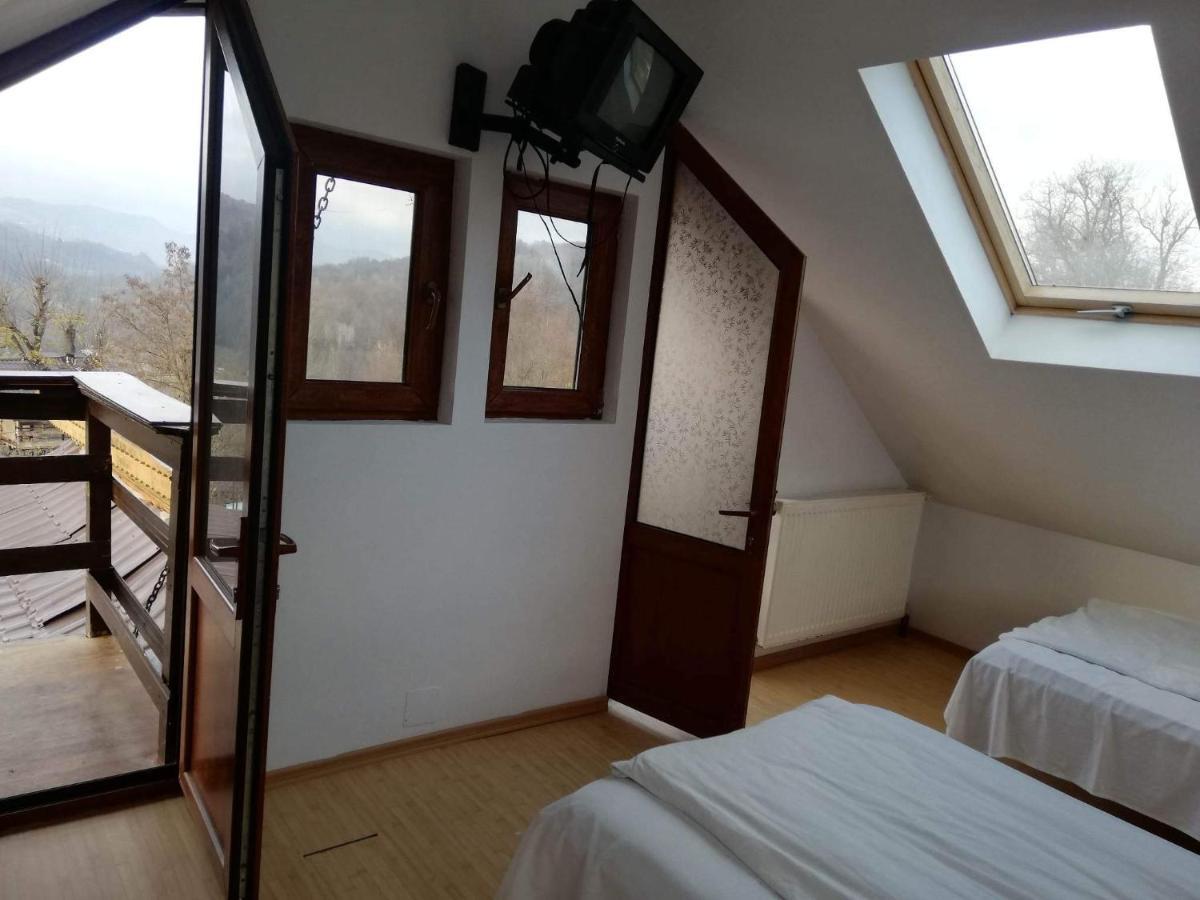 Barbuletu Casa Radu Lui Anghelヴィラ エクステリア 写真