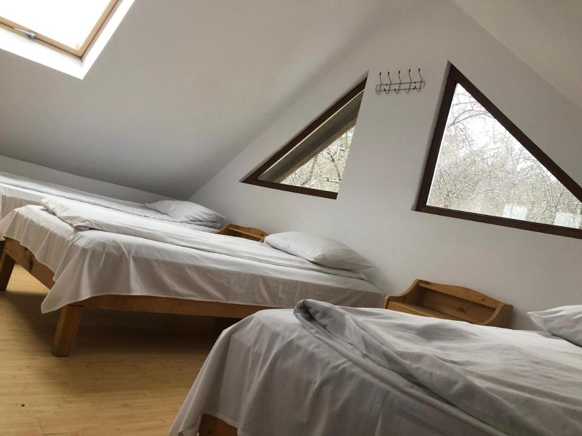 Barbuletu Casa Radu Lui Anghelヴィラ エクステリア 写真