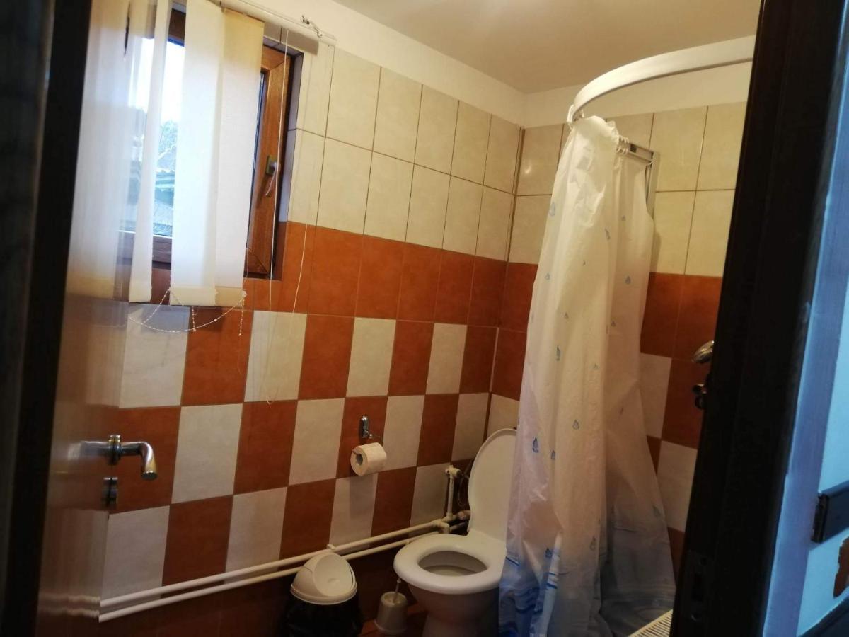 Barbuletu Casa Radu Lui Anghelヴィラ エクステリア 写真