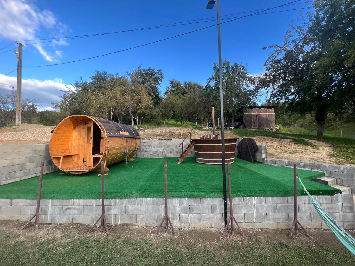Barbuletu Casa Radu Lui Anghelヴィラ エクステリア 写真